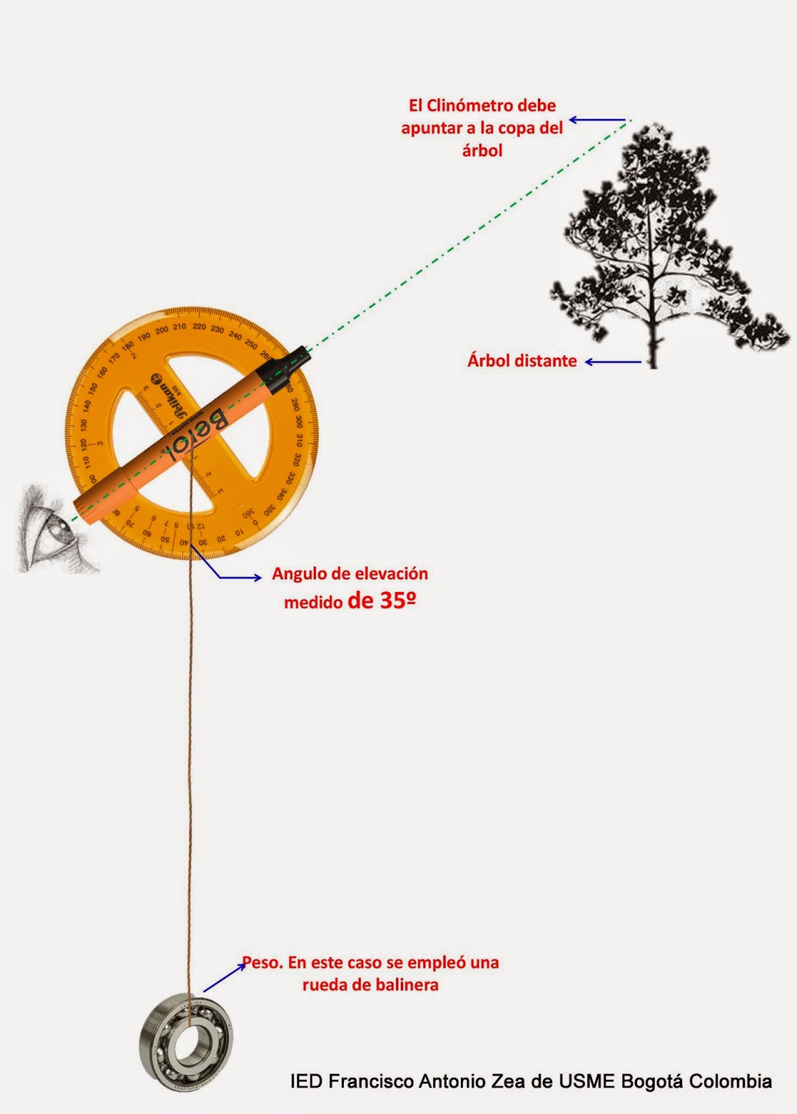 Details 48 clinómetro para medir altura árboles