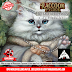 Raccoon Tycoon and Fat Cat Expansion Giveaway