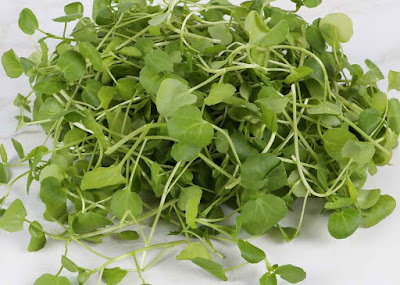 watercress-immunity-boosting-foods-for-adults-children