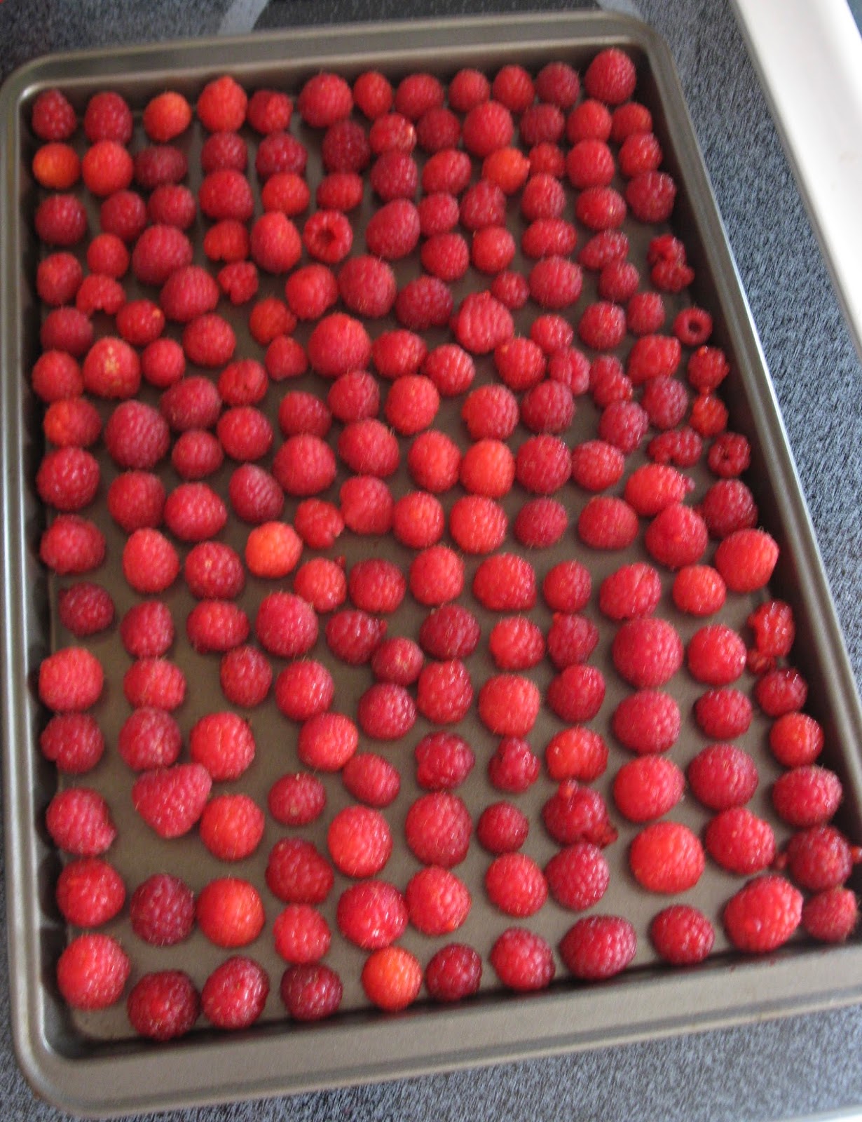 Thel's Kitchen How To Freeze Raspberries