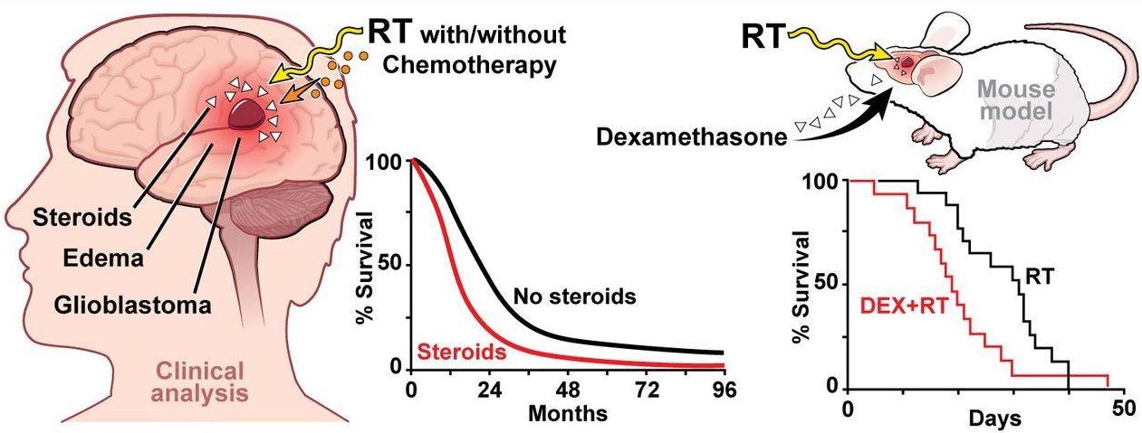 Преднизолон при опухоли мозга. Глюкокортикоидная терапия. Магнезия при отеке головного мозга. Препараты для купирования отека головного мозга. Химиотерапия при онкологии головного мозга.