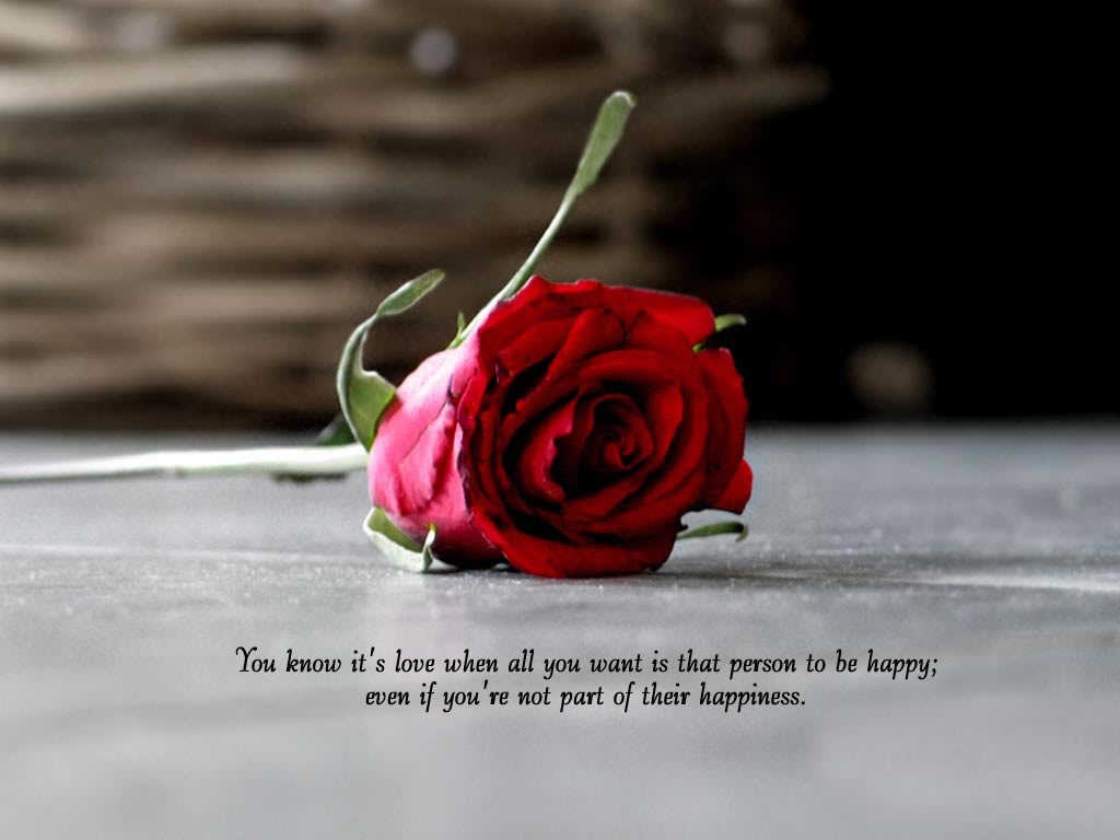 Inspirational Love Quote pagespeed ce ERvC77Wv3q