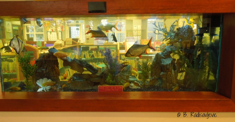 Aquarium which Divides the Hallway from the Children's Area, © B. Radisavljevic
