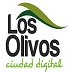 Municipalidad De Los Olivos