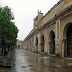 Las golondrinas del Patio de los Naranjos