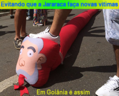 Em Goiânia-GO, Goiás, evitando que jararaca faça novas vítimas, 13