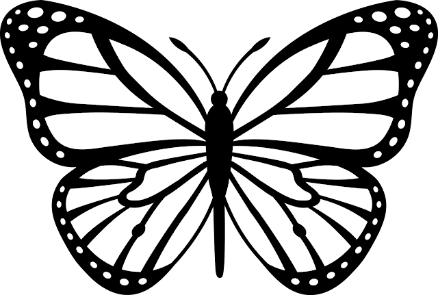 Animated Butterfly Pictures Butterfly Clipart