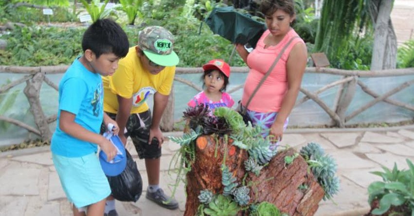 Visita el Parque de las Leyendas y conoce la colección de plantas suculentas en su Jardín Botánico - www.leyendas.gob.pe Visita el Parque de las Leyendas y conoce la colección de plantas suculentas en su Jardín Botánico - www.leyendas.gob.pe