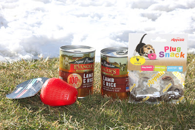 Comfy Snacky Strawberry, Comfy Plug Snack oraz karma mokra Evanger's - recenzja