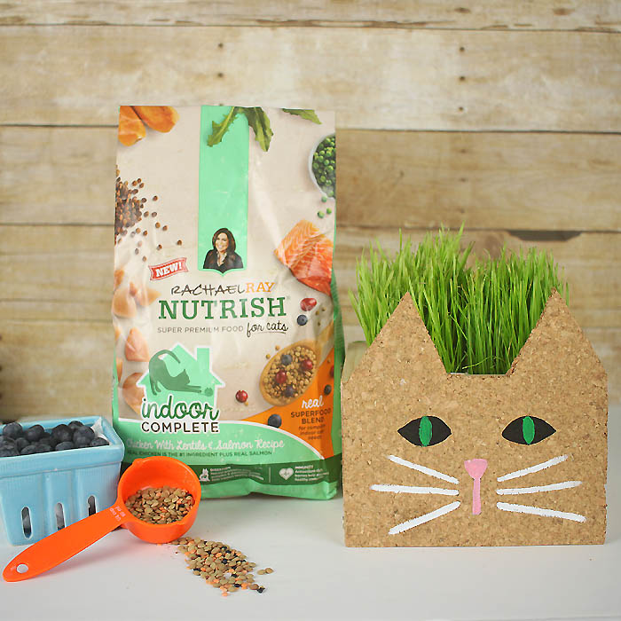 Cat Planter DIY Gina Michele