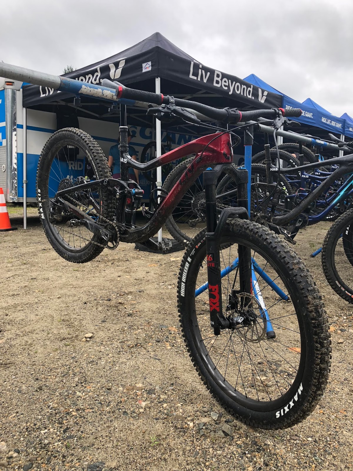 liv intrigue advanced 1 2019