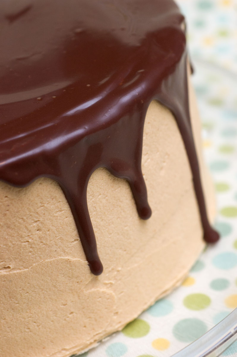 Fudgy Chocolate Peanut Butter Cake...Sinfully Delicious!