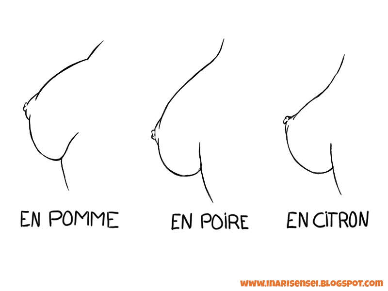 Trois formes de seins: en pomme, en poire et en citron