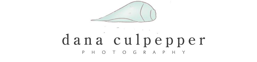 Dana Culpepper Photography- Newborn Baby Infant Child & Family Photographer in Memphis