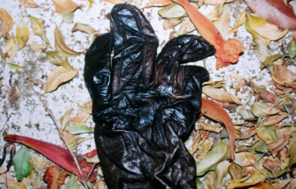 Crime Scene Oj Simpson The O.J. Simpson Case: Bagging evidence