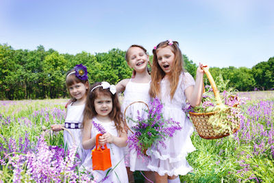 Niñas recolectando flores de lavanda en el campo - Happy girls lavender fields flowers
