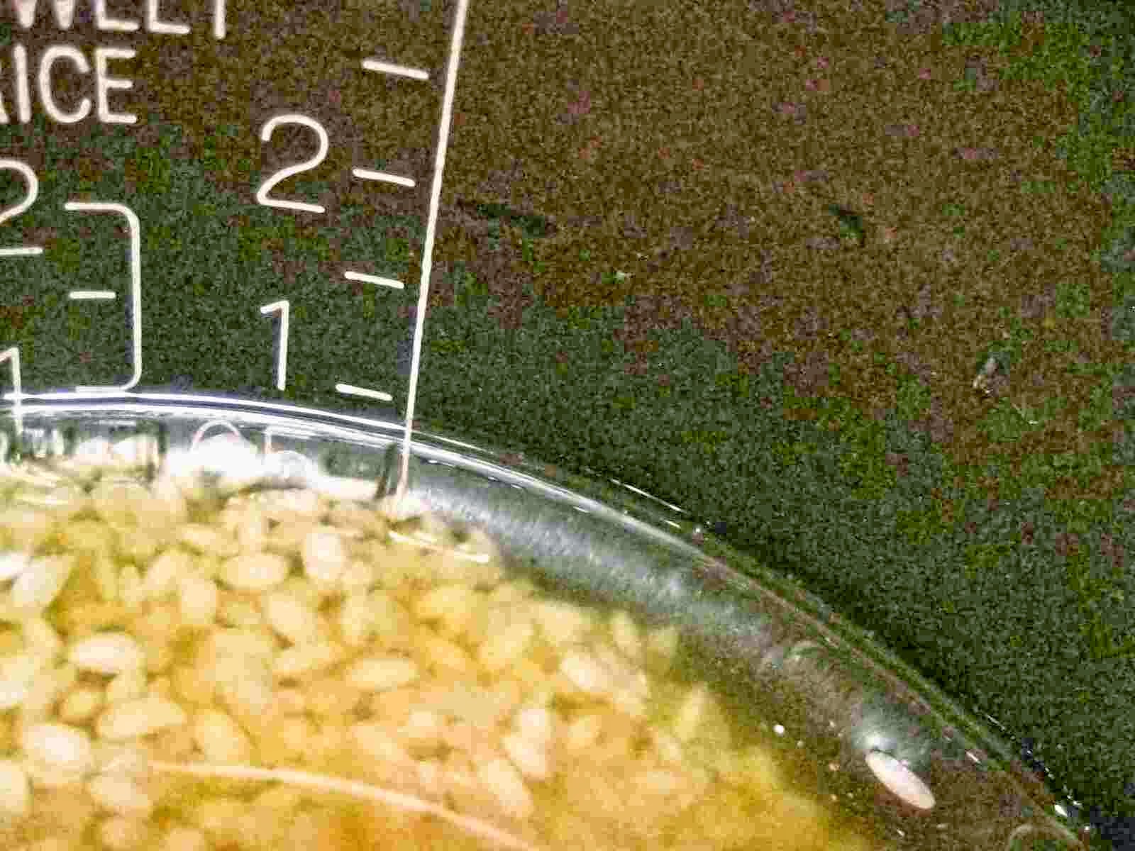 Recipes for Tom Yakimaitake gohan / steamed rice with grilled maitake