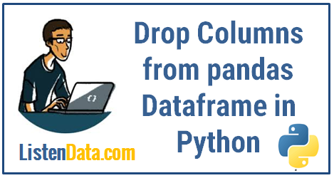 Python dataframe drop columns