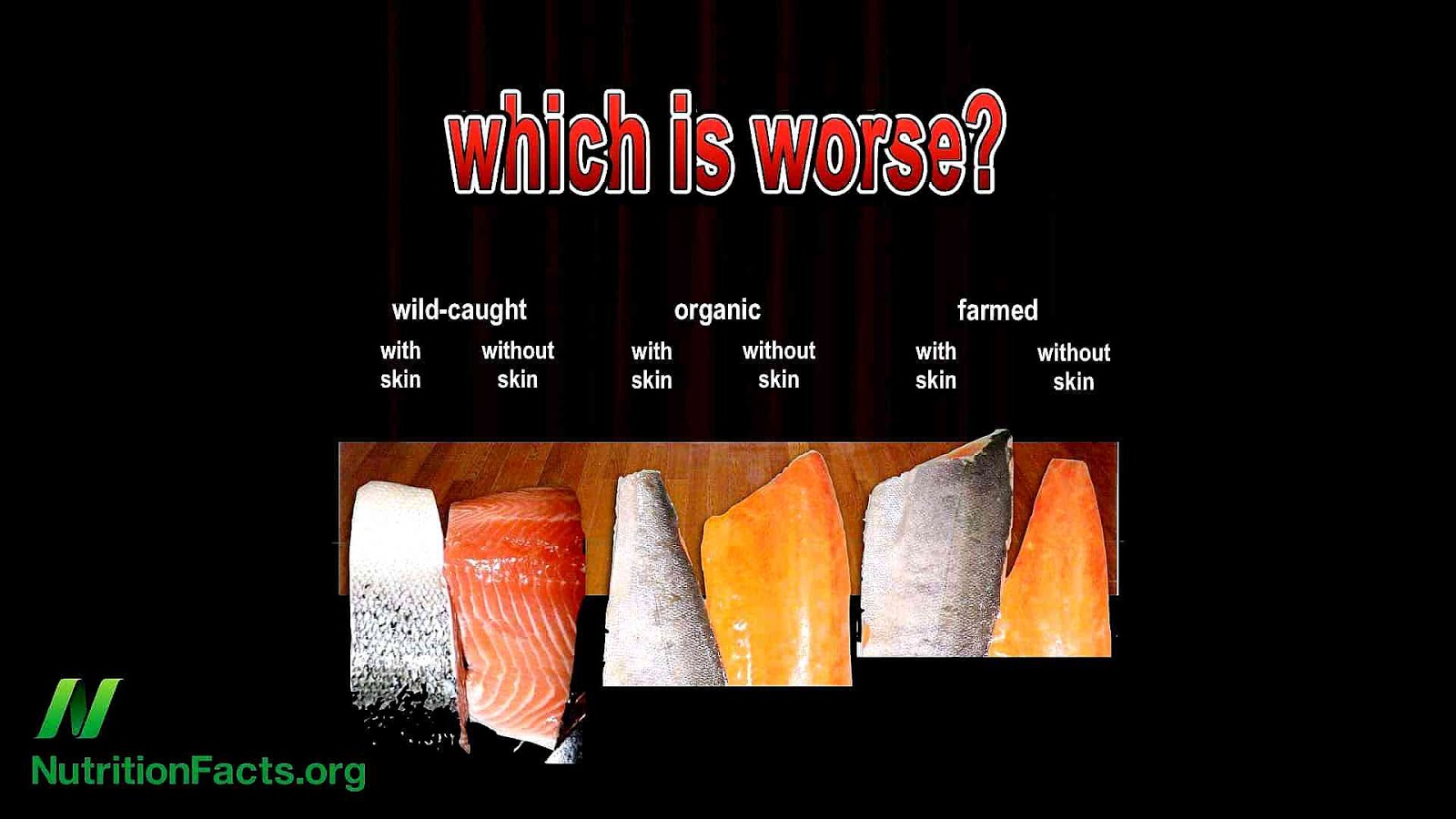 Salmon Salmon Fish Facts Fish Choices