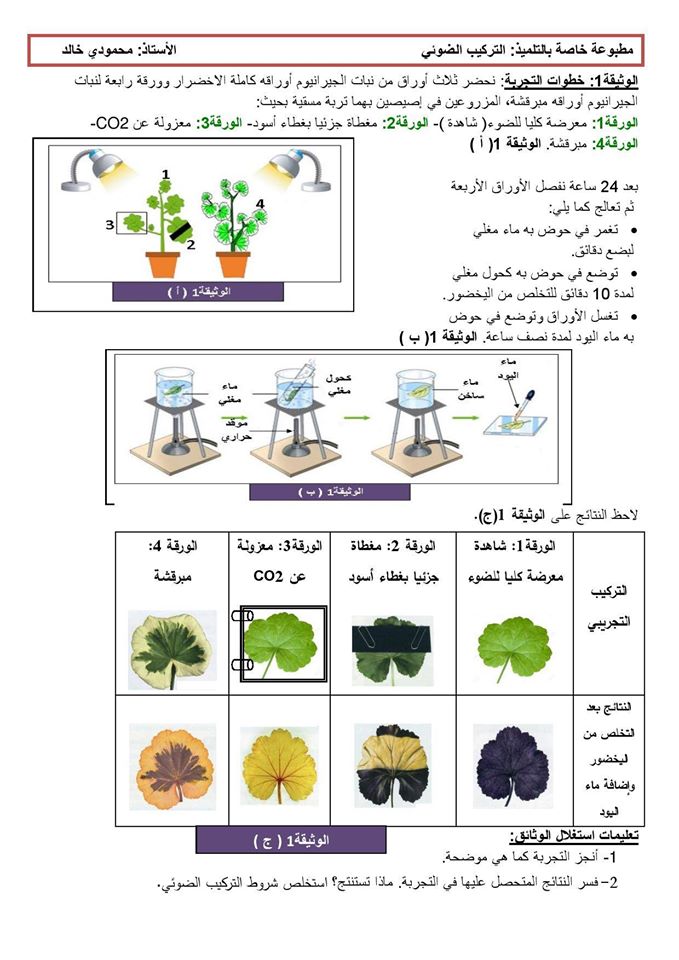 مذكرة التركيب الضوئي انتقال النسغ أولى متوسط الجيل الثاني مدونة التعليم في الجزائر