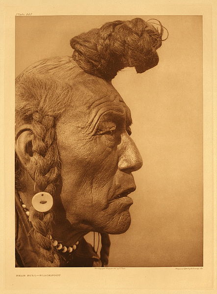 American_Indian_Blackfoot_Chief_Bear_Bull_Picture.jpg