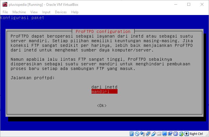 Filezilla linux. Файловый сервер на linux samba. Debian 11 почтовый сервер. Proftpd. Debian ftp сервер.