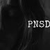 Post Narcissist Stress Disorder (PNSD) And The 3 Most Common Telltale Signs Of It