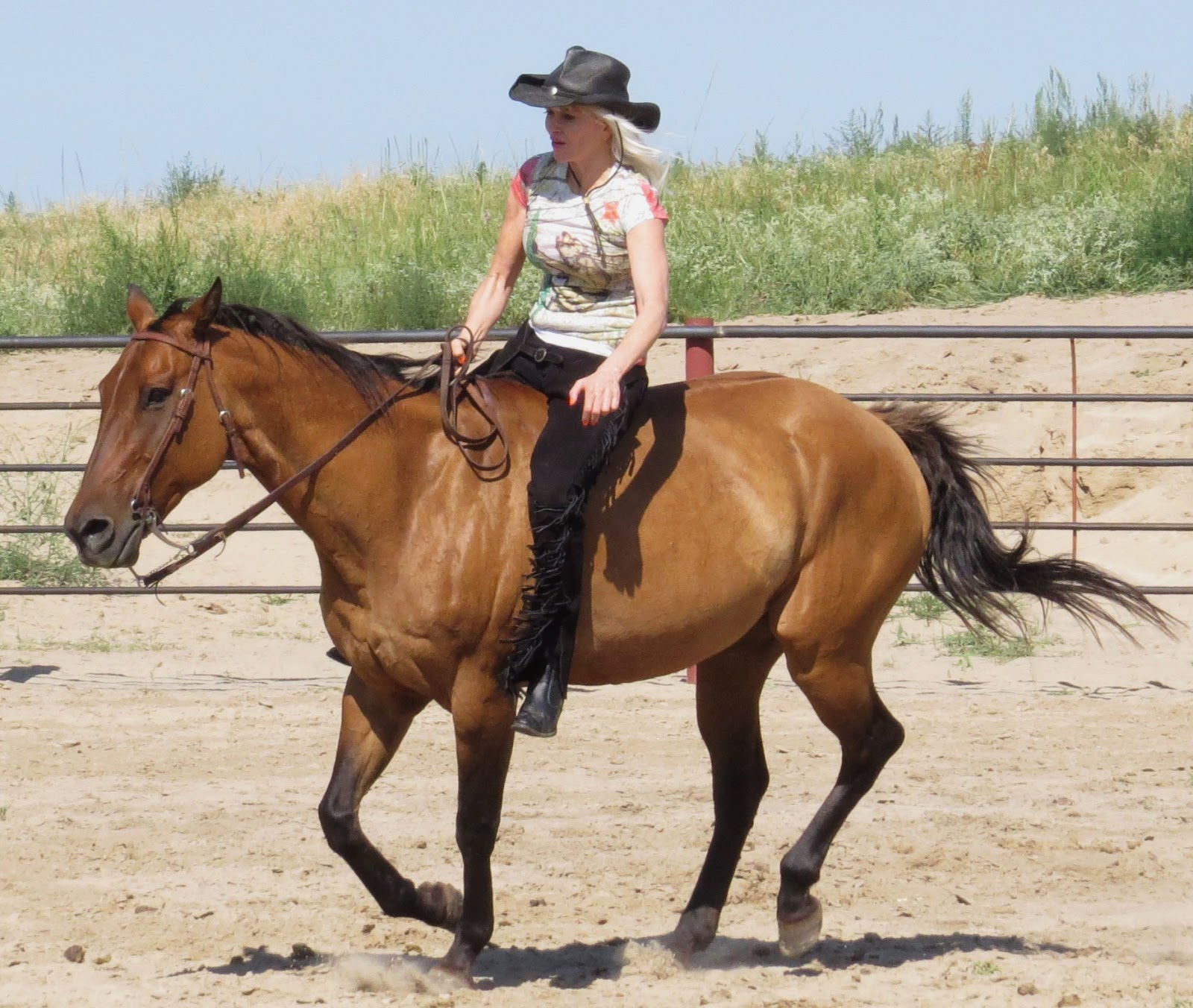 AT THE RAIL WITH NAGS AND WAGS IN NEBRASKA, NEED A HORSE