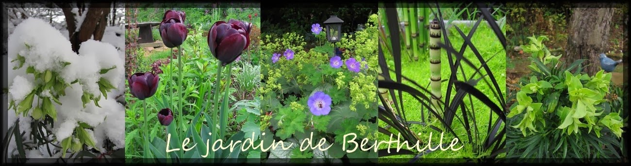 Le jardin de Berthille