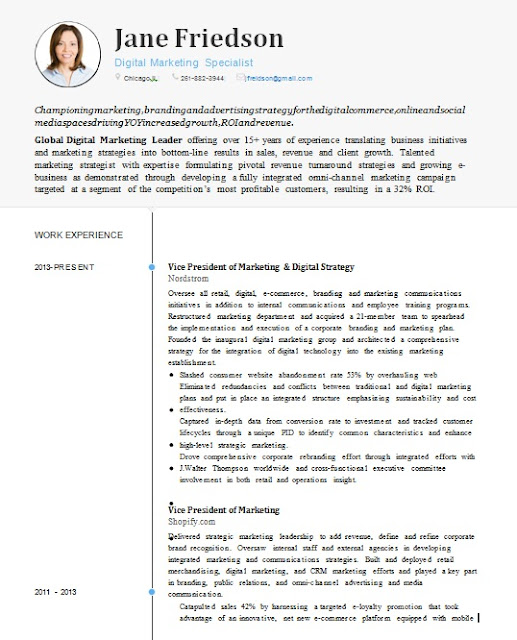 download curriculum vitae cv resume templates it classes curriculum template download