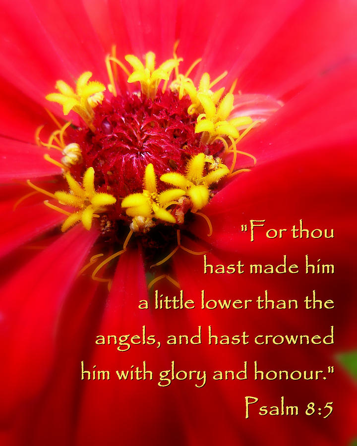 orando-con-los-salmos