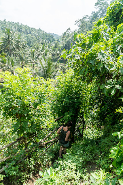 Vallée de la Sungaï Ayung - Ubud - Bali