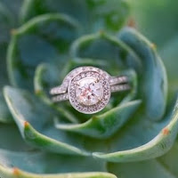 Succulent and engagement ring