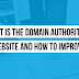 What is the Domain Authority of a Website and How to Improve it?