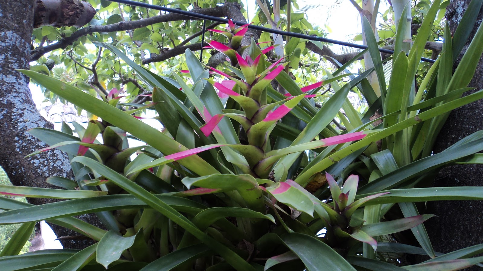 Ecuador Adventures with Jim and Rachel Tumbabiro