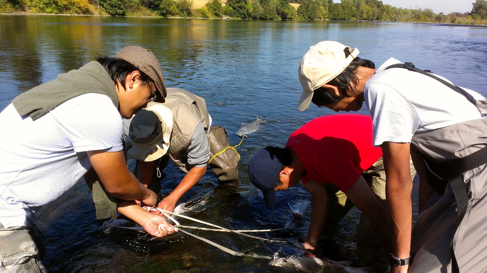 Salmon Fishing (Cleaning and Egg Harvesting)Part 3 Googlenomics