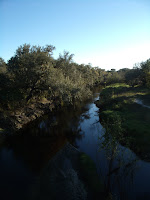 Charlie Creek Jefferson Aleman