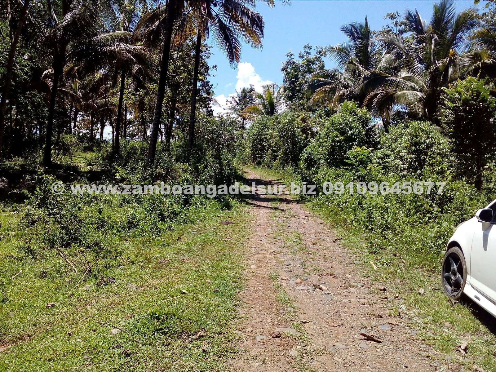 Zamboanga del Sur Properties