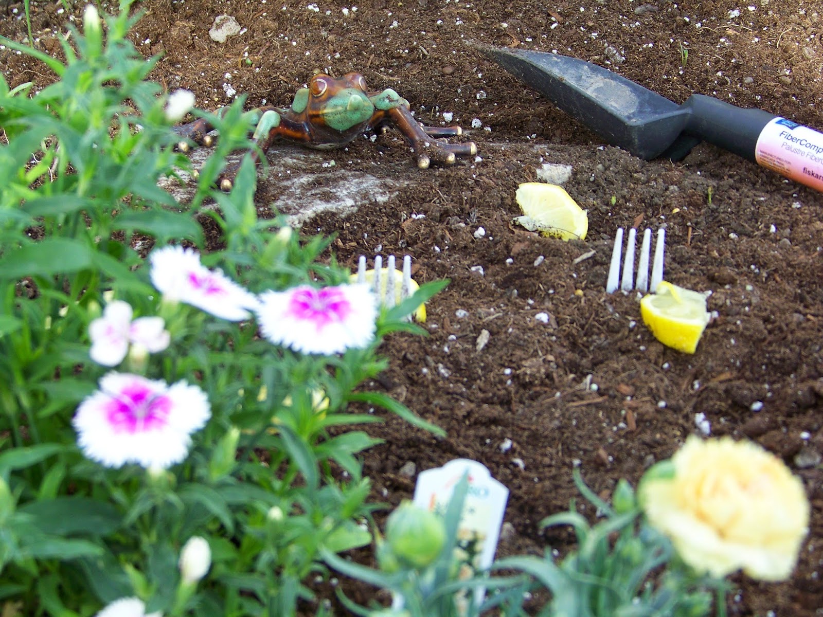 Garden Girl's Utah Adventure. Planting Forks in My Garden....To keep