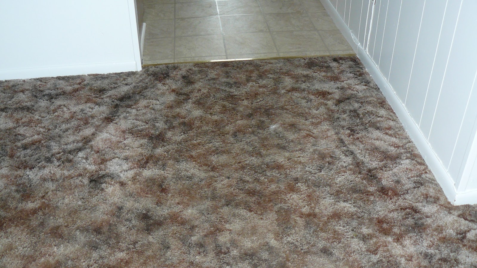 Cooper's Carpet Cleaning and Floor Care Blog Removing Duct Tape from