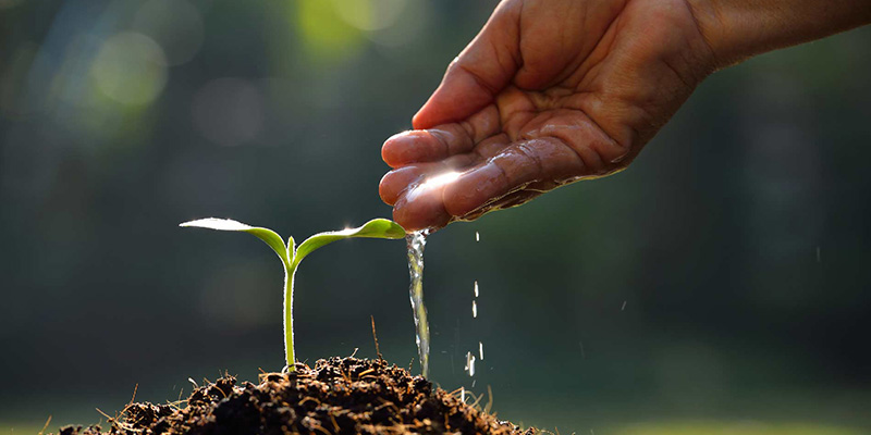 Blockchain Changing How We Donate in The Charity Industry