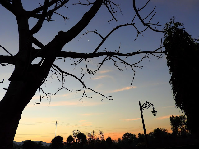 The crescent and the sun playing peek-a-boo one morning in Imphal | Manipur, India -- January 2017 Imphal, Moreh, Manipur, northeast, dawn, morning, sunrise, sun, moon, crescent
