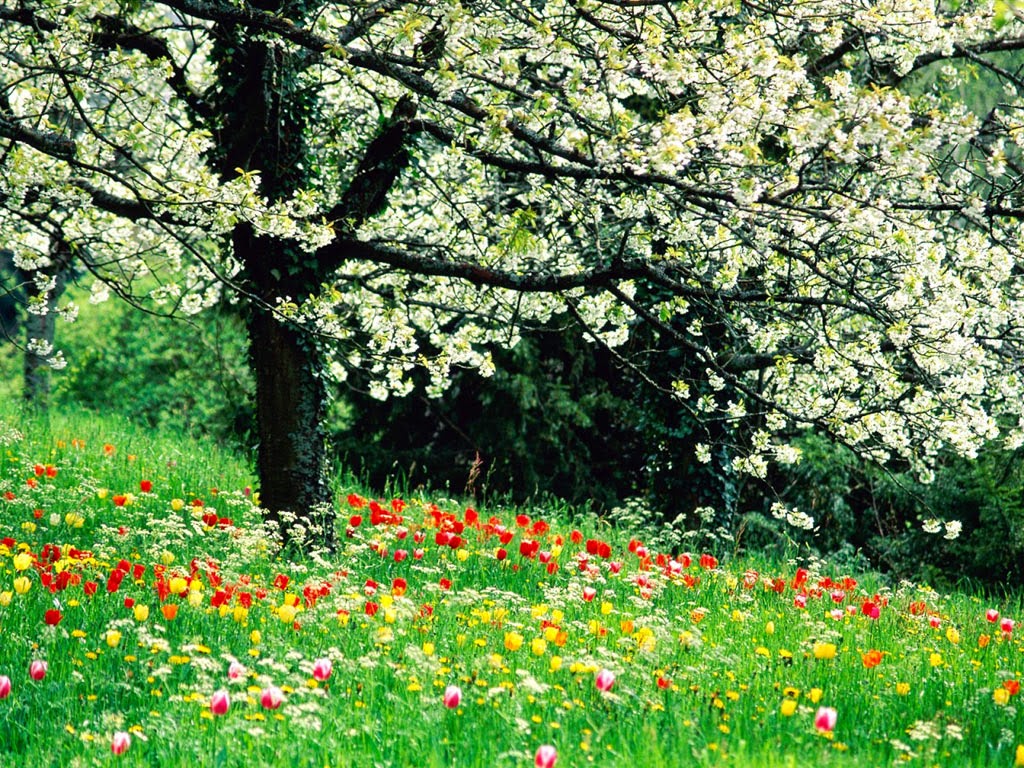 Il Nostro Blog Spazio Aperto IL PRIMO GIORNO DI PRIMAVERA Il Nostro Blog Spazio Aperto IL PRIMO GIORNO DI PRIMAVERA