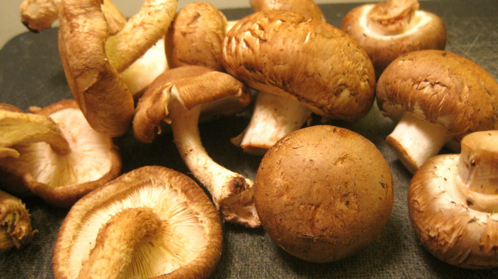 Peep My Plate Gourmet cooking for one Pappardelle with wild mushroom