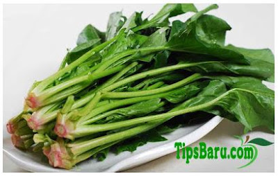 Manfaat Sayur Bayam serta Cara Memasaknya Yang Benar Daun Bayam