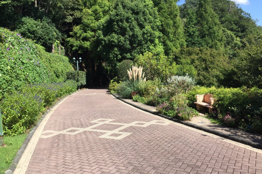 神戸布引ハーブ園:緑の中を散歩