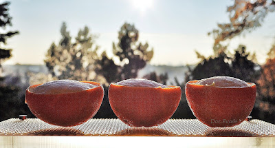 Orangenparfait Orangen Parfait