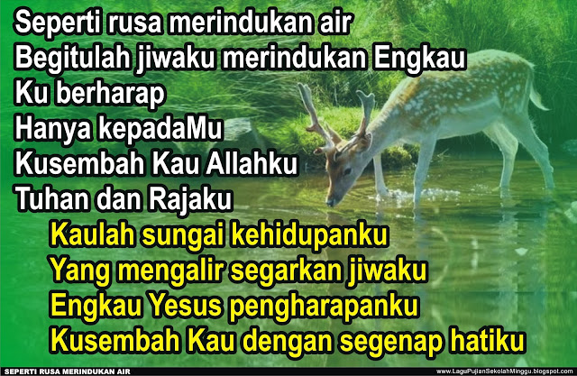 Lirik Lagu Pengharapanku Hanya Padamu