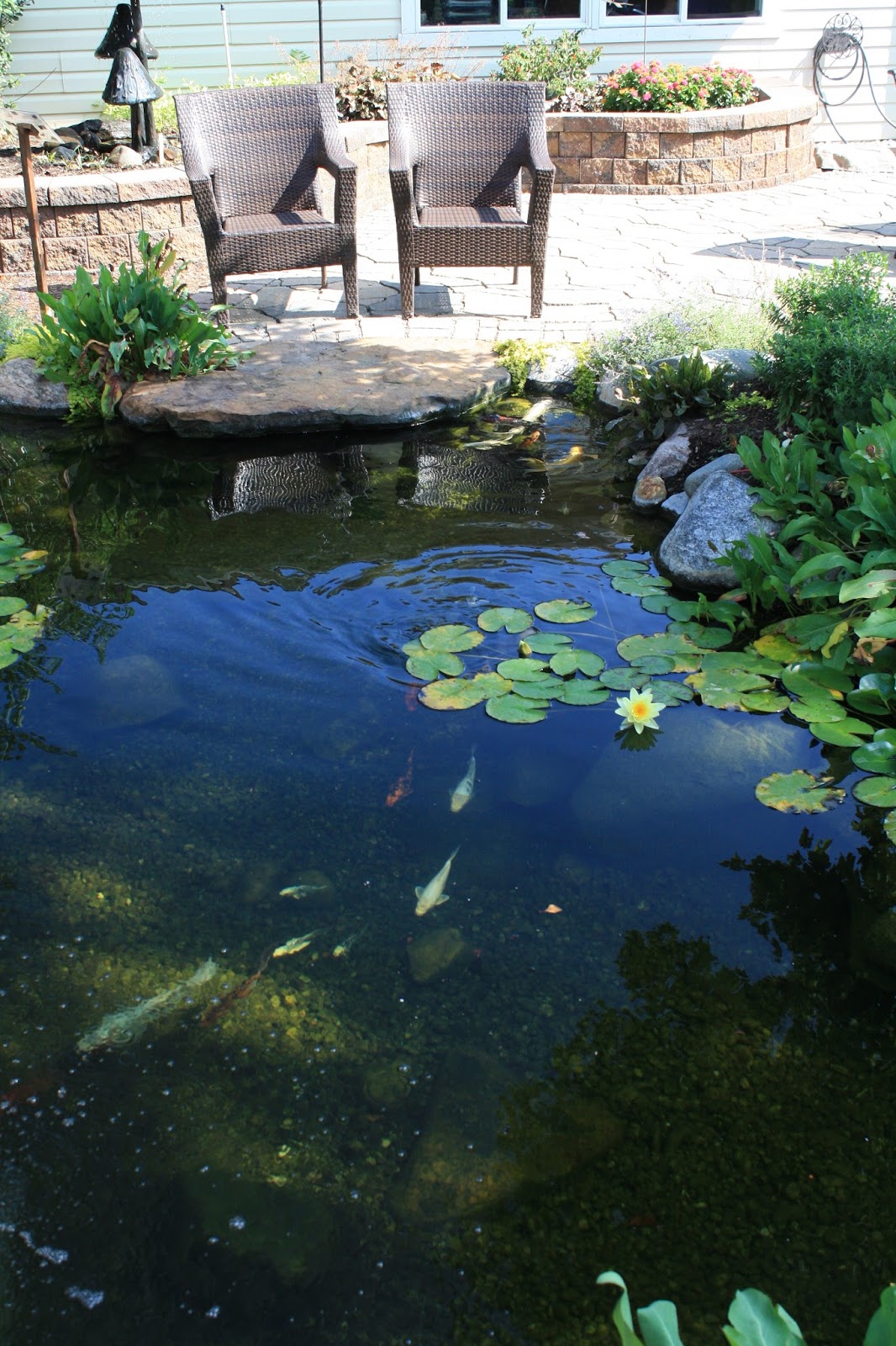 koi-pond-depth.jpg