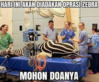 Koleksi Gambar Meme Foto Lucu Unik Operasi Zebra dan Razia Polisi Koleksi Gambar Meme Foto Lucu Unik Operasi Zebra dan Razia Polisi